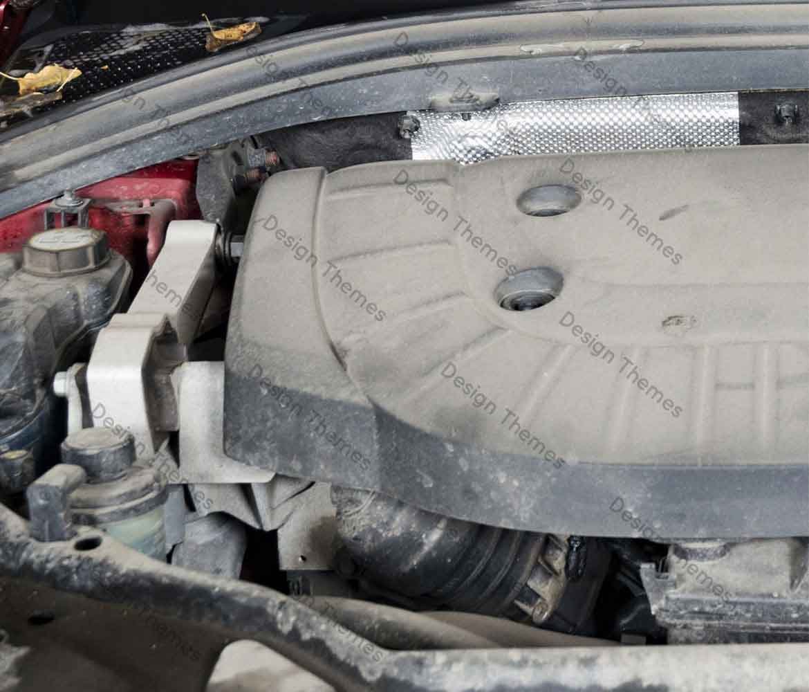 Before-What We Do